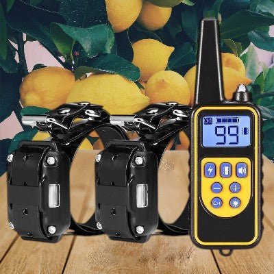 collier-dressage-pour-chien-telecommande-deux-jaunes