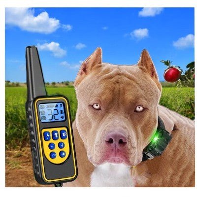 collier-dressage-pour-chien-telecommande-distance