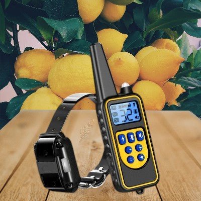 collier-dressage-pour-chien-telecommande-jaune