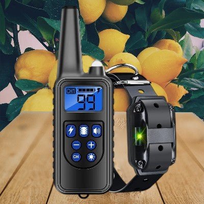 collier-dressage-pour-chien-telecommande-un-bleu