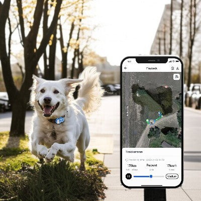 collier-gps-pour-chien-localisation-intelligente-lecture-partout-lorsque-chien-se-sauve