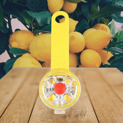 collier-pour-chien-anti-perte-jaune