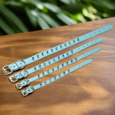 collier-pour-chien-cuir-longueurs