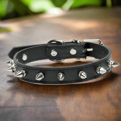 collier-pour-chien-cuir-noir