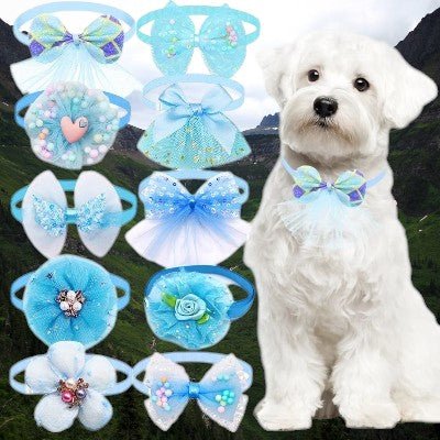 collier-pour-chien-dentelle-bleu-demo