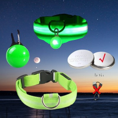 Collier pour chien -  lumineux