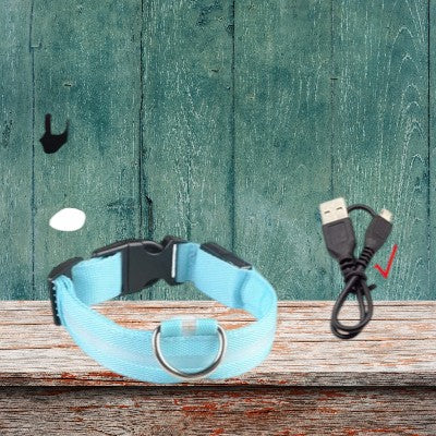 collier-pour-chien-lumineux-bleu