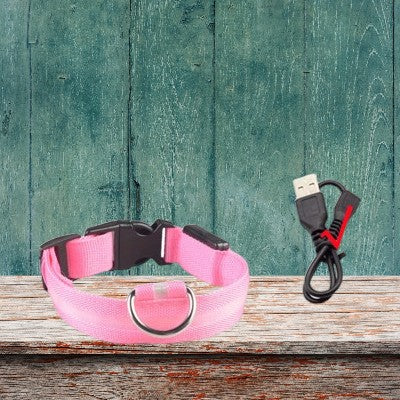 collier-pour-chien-lumineux-usb