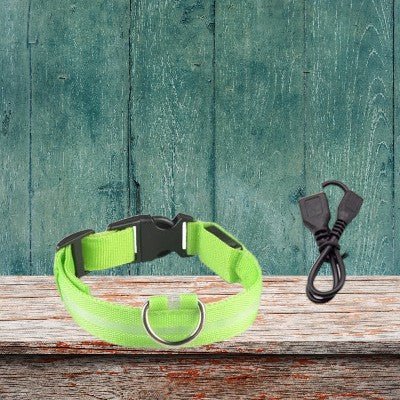 collier-pour-chien-lumineux-vert-usb-demo