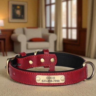 collier pour chien - personnalisé en cuir - au royaume des chiens