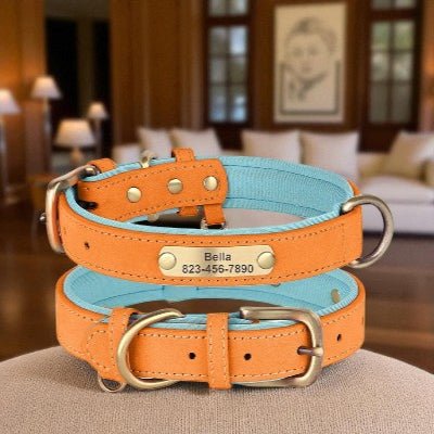 collier-pour-chien-personnalise-en-cuir-brun-bleu