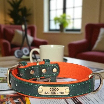 collier-pour-chien-personnalise-en-cuir-vert-orange