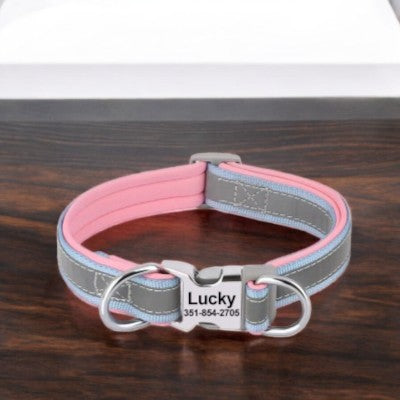 collier-pour-chien-personnalise-reflechissant-bleu-pale-rose