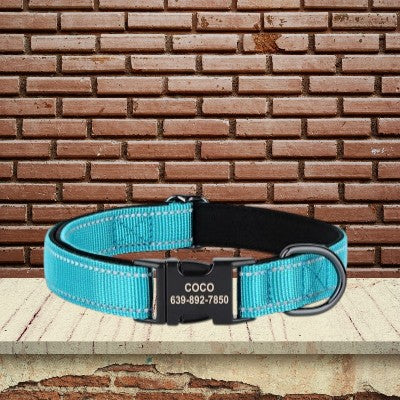 collier-pour-chien-personnalise-reflechissant-bleu-pale