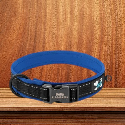 collier-pour-chien-personnalise-reflechissant-bleu