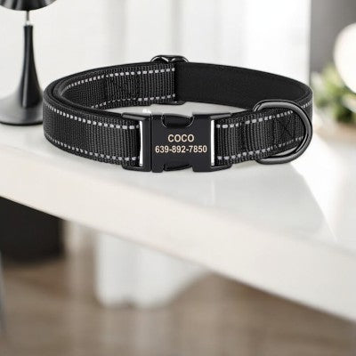 collier-pour-chien-personnalise-reflechissant-noir