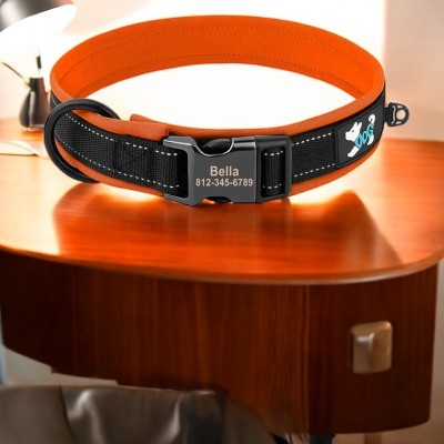 collier-pour-chien-personnalise-reflechissant-orange