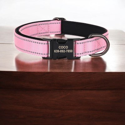 collier-pour-chien-personnalise-reflechissant-rose