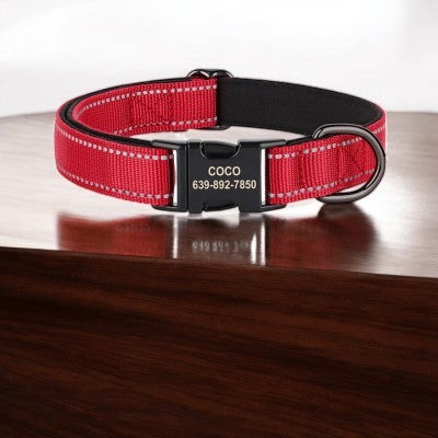 collier-pour-chien-personnalise-reflechissant-rouge