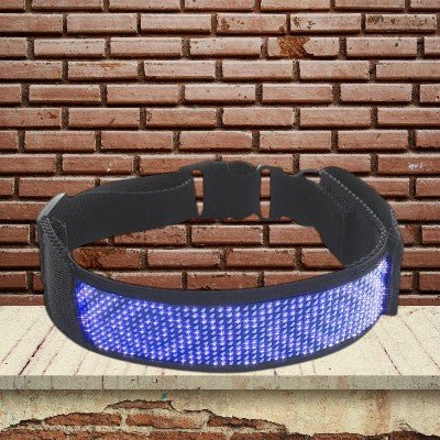 collier-pour-chien-personnel-bleu