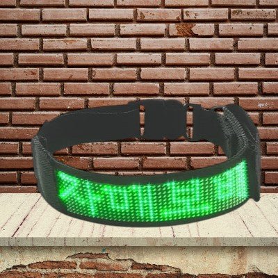 collier-pour-chien-personnel-vert