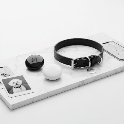 collier pour chien - localisation demo du produit traceur