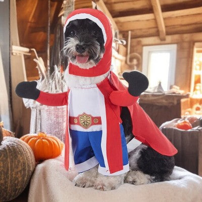 costume chien - boxeur, livreur pizza , singe
