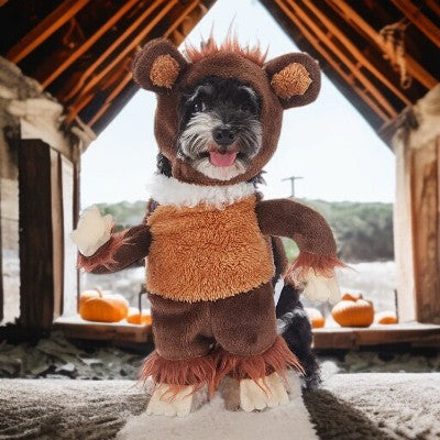 costume chien - boxeur, livreur pizza , singe