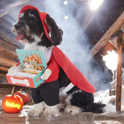 costume chien - boxeur, livreur pizza , singe