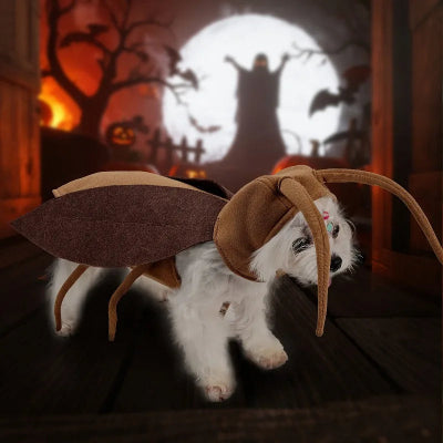 costume-chien-cafard-chien-deguiser
