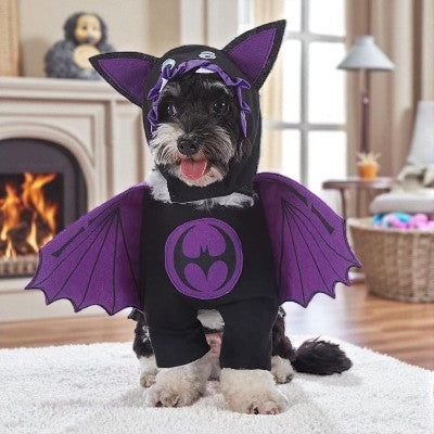 costume pour chien - chauve souris et citrouille