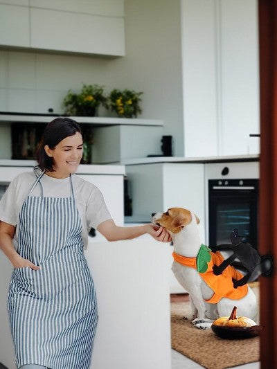 costume-pour-chien-citrouille-avec-chat-noir-chien-assis-comptoir-avec-maitraise-deguiser