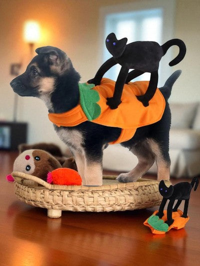 costume pour chien - citrouille avec chat noir