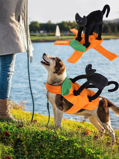 costume-pour-chien-citrouille-avec-chat-noir-chien-promenade-deguiser