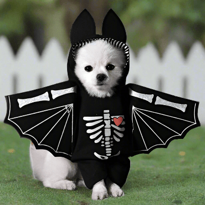 Costume pour chien - Père Noël, Chauve-souris, Bonhomme de neige, Police - au royaume des chiens