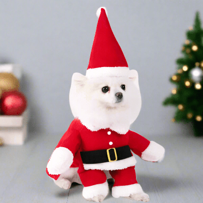 Costume pour chien - Père Noël, Chauve-souris, Bonhomme de neige, Police - au royaume des chiens