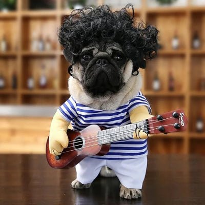 costume-pour-chien-guitare-chien-demonstration