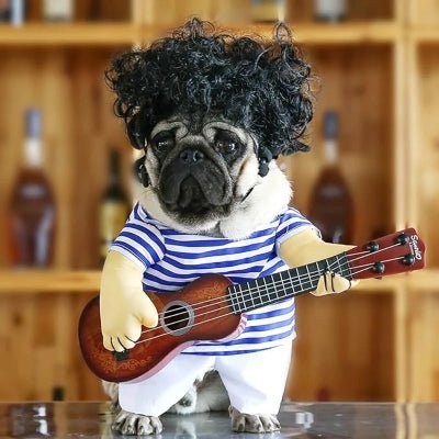 costume-pour-chien-guitare-chien-drole