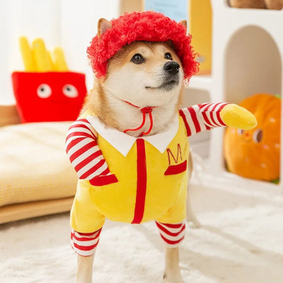 costume-pour-chien-halloween-Mcdonald-chien-porte-costume-mignon-salon