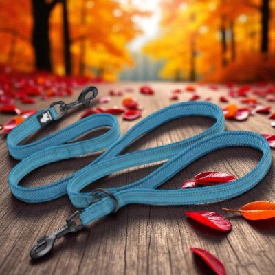 double-Laisse-pour-chien-multi-usages-bleu