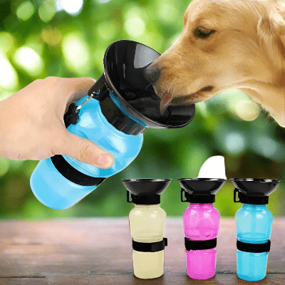 gourde-pour-chien- plastique-demonstration-chien-boit