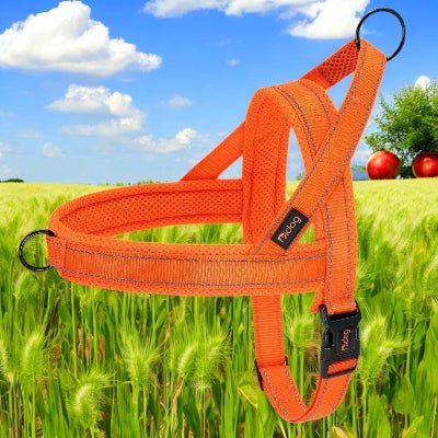 harnais-anti-traction-chien-dressage-couleur-orange