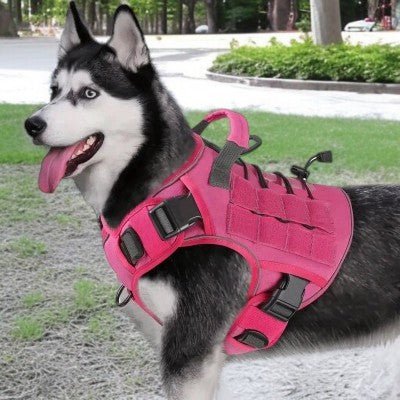 harnais-anti-traction-chien-moyen-et-gros-chien-fiere-porter-harnais-rose