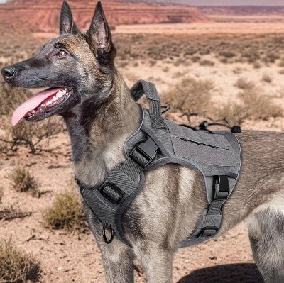 harnais-anti-traction-chien-moyen-et-gros-chien-gris