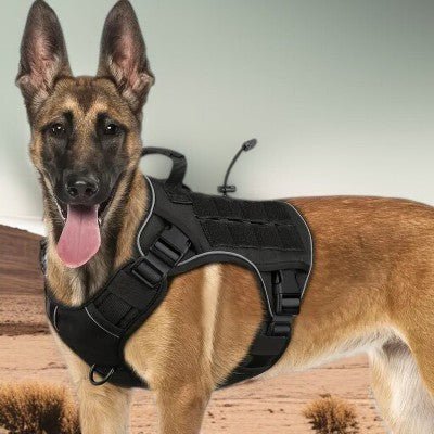 harnais-anti-traction-chien-moyen-et-gros-chien-noir