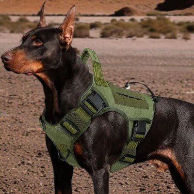 harnais-anti-traction-chien-moyen-et-gros-chien-vert-armee