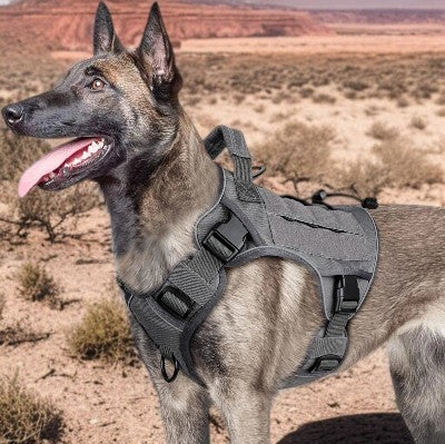 harnais anti traction - moyen et gros chien