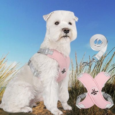 harnais-chien-doux-laisse-rose