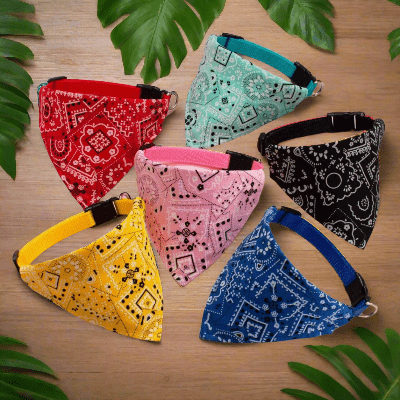 Harnais petit chien / foulard - au royaume des chiens