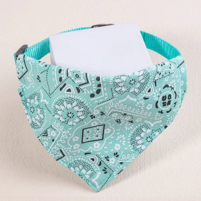harnais-petit-chien-foulard-turquoise